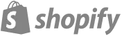 Shopify Ecommerce Platform | Top ecommerce development company